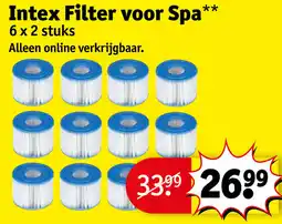 Kruidvat Intex Filter voor Spa aanbieding