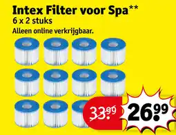Kruidvat Intex Filter voor Spa aanbieding