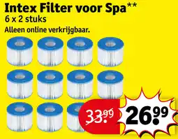 Kruidvat Intex Filter voor Spa aanbieding