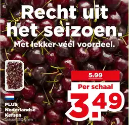 PLUS PLUS Nederlandse Kersen aanbieding