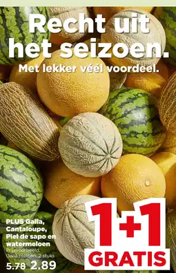 PLUS PLUS Galia, Cantaloupe, Piel de sapo en watermeloen aanbieding
