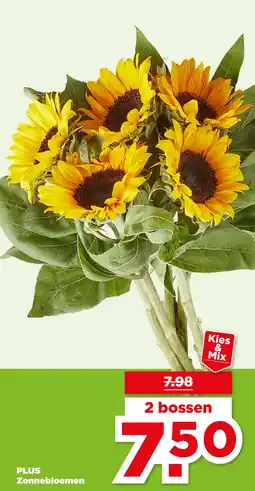 PLUS PLUS Zonnebloemen aanbieding