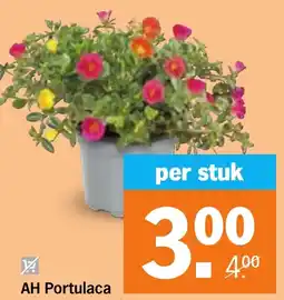 Albert Heijn AH Portulaca aanbieding