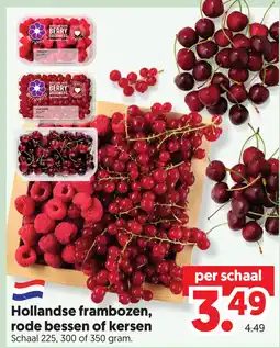Dekamarkt Hollandse frambozen, rode bessen of kersen aanbieding