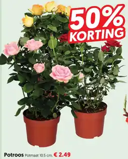 Dekamarkt Potroos aanbieding