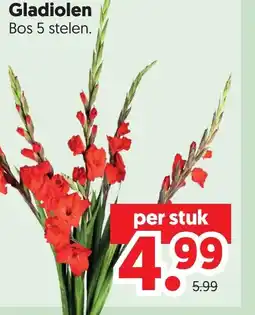 Dekamarkt Gladiolen aanbieding