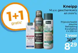 Trekpleister Kneipp aanbieding