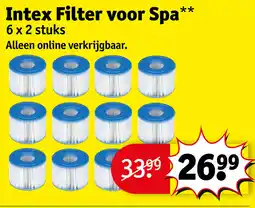 Kruidvat Intex filter voor spa aanbieding