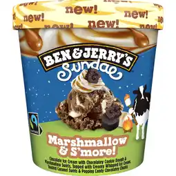 Dirk Ben & Jerry's Sundae marshmallow & s'more! aanbieding