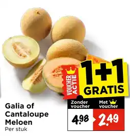 Vomar Voordeelmarkt Galia of Cantaloupe Meloen aanbieding