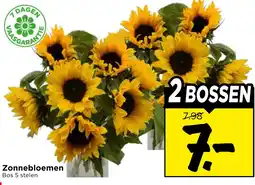 Vomar Voordeelmarkt Zonnebloemen aanbieding