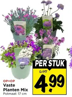 Vomar Voordeelmarkt Vaste Planten Mix aanbieding