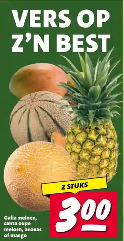 Nettorama Galia meloen, cantaloupe meloen, ananas of mango aanbieding
