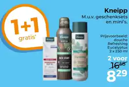 Trekpleister Kneipp aanbieding