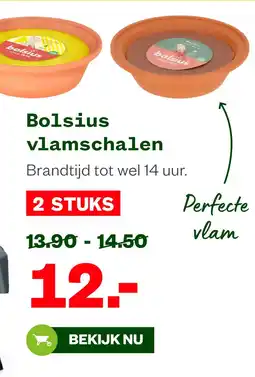Welkoop Bolsius vlamschalen aanbieding