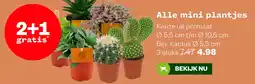 Welkoop Alle mini plantjes aanbieding