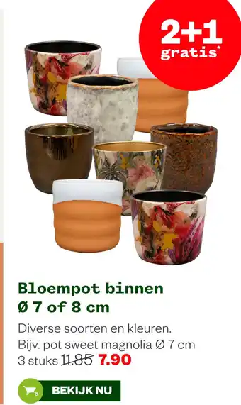 Welkoop Bloempot binnen aanbieding