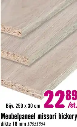 Hornbach Meubelpaneel missori hickory tweezijdig afgewerkt 18x300x2500mm aanbieding