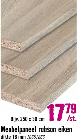 Hornbach Meubelpaneel robson eiken tweezijdig afgewerkt 18x300x2500mm aanbieding