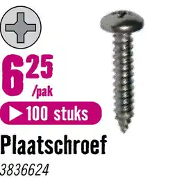 Hornbach DRESSELHAUS Plaatschroef 3,5x13 mm Phillips DIN 7981 RVS A2, 100 stuks aanbieding