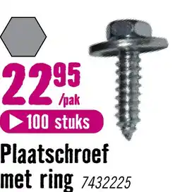 Hornbach DRESSELHAUS Plaatschroef met ring zeskant 4,8x16 mm galv. verzinkt, 100 stuks aanbieding