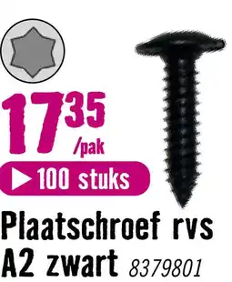 Hornbach DRESSELHAUS Plaatschroef 3,5x13 mm Torx T10 RVS A2 zwart, 100 stuks aanbieding