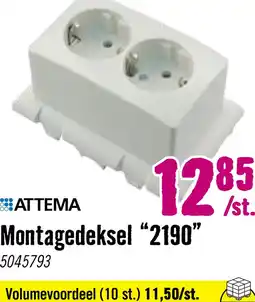 Hornbach ATTEMA montagedeksel 2190 + dubbele wandcontactdoos met randaarde voor universele lasdoos 2185 aanbieding