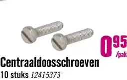 Hornbach RVS Schroef M4 x 16 voor montageplaat aanbieding