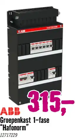 Hornbach ABB Installatiekast 1-fasen 6 groepen 2 aardlekschakelaars 24 m aanbieding