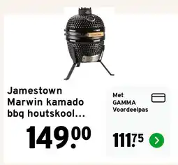 GAMMA Jamestown Marwin kamado bbq houtskool keramiek zwart ø 27 cm aanbieding
