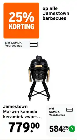 GAMMA Jamestown Marwin kamado keramiek zwart (M/L) aanbieding