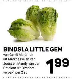 Ekoplaza BINDSLA LITTLE GEM aanbieding