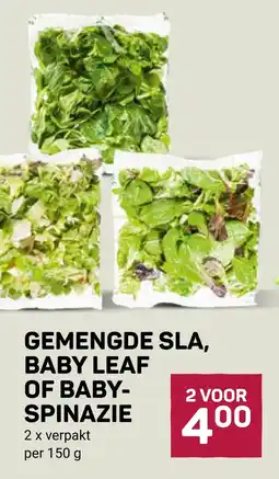 Ekoplaza GEMENGDE SLA, BABY LEAF OF BABY- SPINAZIE aanbieding