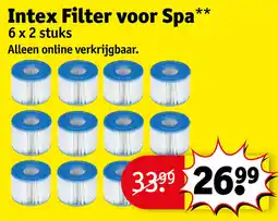 Kruidvat Intex Filter voor Spa aanbieding