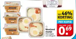 Hoogvliet Westland Slaatje aanbieding