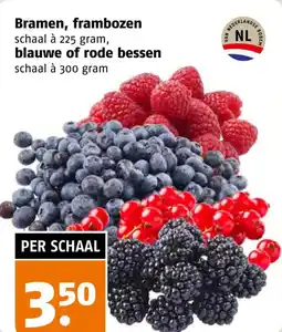 Poiesz Bramen, frambozen , blauwe of rode bessen aanbieding