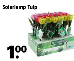 Poiesz Solarlamp Tulp aanbieding