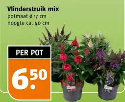 Poiesz Vlinderstruik mix aanbieding