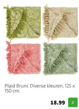 Intratuin Plaid Bruni. aanbieding