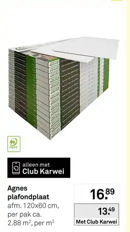 Karwei Agnes plafondplaat aanbieding