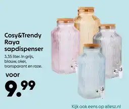 AllesZ Cosy&Trendy Raya Sapdispenser aanbieding