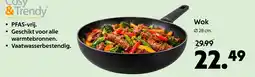 AllesZ Cosy & Trendy Wok aanbieding
