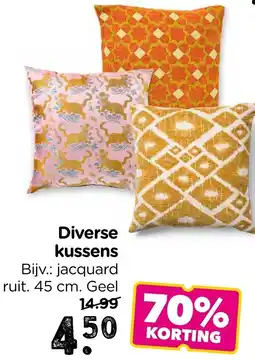 Xenos Diverse kussens aanbieding
