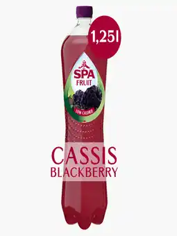 Flink Spa Fruit Cassis Blackberry aanbieding