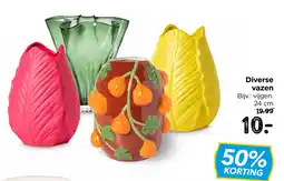 Xenos Diverse vazen aanbieding
