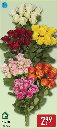 ALDI Rozen aanbieding