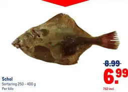 Makro Schol aanbieding