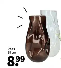 Wibra Vaas aanbieding