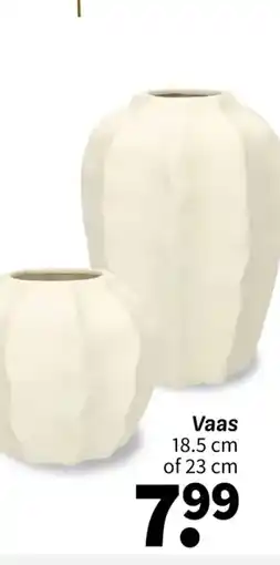 Wibra Vaas aanbieding