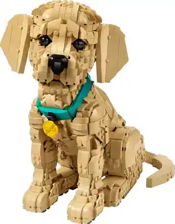 Coolblue LEGO Icons Golden Retriever Puppy 11384 aanbieding